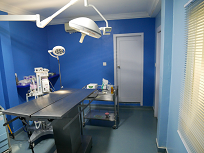 veterinary clininc phnom penh