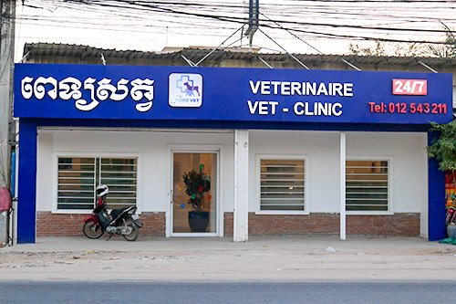 veterinary clininc phnom penh